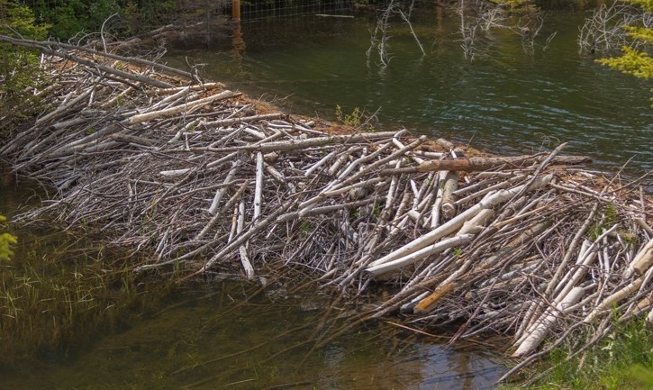 Dam 5