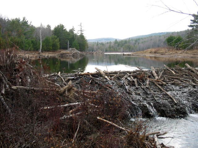 Dam 6